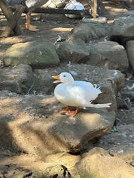 伊豆シャボテン動物公園に投稿された画像(2025/12/8)