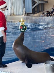 アクアワールド茨城県大洗水族館に投稿された画像(2025/12/8)