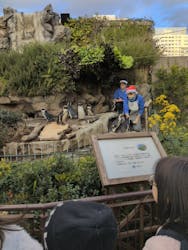 サンシャイン水族館に投稿された画像(2025/12/8)