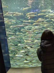 サンシャイン水族館に投稿された画像(2025/12/8)