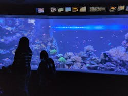 サンシャイン水族館に投稿された画像(2025/12/8)