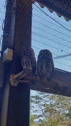 伊豆アニマルキングダムに投稿された画像(2025/12/8)