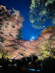 六義園に投稿された画像(2025/12/8)