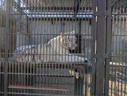 宇都宮動物園に投稿された画像(2025/12/8)