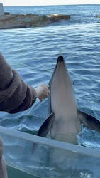 城崎マリンワールドに投稿された画像(2025/12/8)