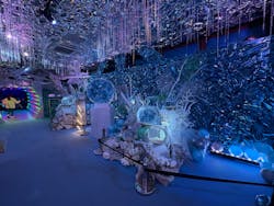 ひらかたパークに投稿された画像(2025/12/8)