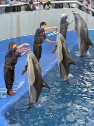 大分マリーンパレス水族館 「うみたまご」に投稿された画像(2025/12/8)