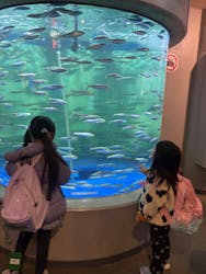 しながわ水族館に投稿された画像(2025/12/8)