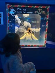 しながわ水族館に投稿された画像(2025/12/8)