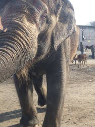 那須サファリパークに投稿された画像(2025/12/8)