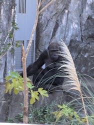 千葉市動物公園に投稿された画像(2025/12/8)