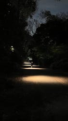 六義園に投稿された画像(2025/12/8)