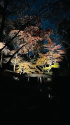 六義園に投稿された画像(2025/12/8)