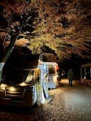 六義園に投稿された画像(2025/12/8)