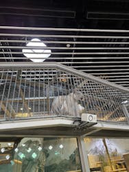 NIFREL(ニフレル)に投稿された画像(2025/12/8)