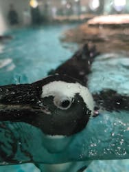 NIFREL(ニフレル)に投稿された画像(2025/12/8)