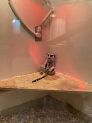 アニタッチららぽーと名古屋みなとアクルスに投稿された画像(2025/12/8)