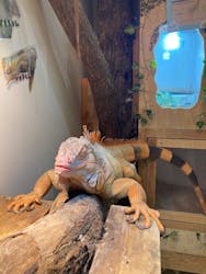 アニタッチららぽーと名古屋みなとアクルスに投稿された画像(2025/12/8)