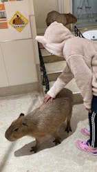 アニタッチららぽーと名古屋みなとアクルスに投稿された画像(2025/12/8)