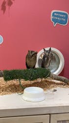 アニタッチららぽーと名古屋みなとアクルスに投稿された画像(2025/12/8)