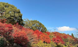有馬温泉 太閤の湯に投稿された画像(2025/12/9)