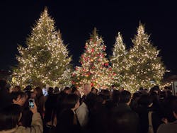 Christmas Market in 横浜赤レンガ倉庫 2025に投稿された画像(2025/12/9)