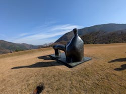 彫刻の森美術館に投稿された画像(2025/12/9)