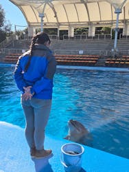 南知多ビーチランド&南知多おもちゃ王国に投稿された画像(2025/12/9)