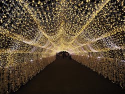 東京メガイルミに投稿された画像(2025/12/9)