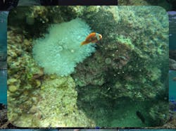 武藤潜水に投稿された画像(2025/12/9)