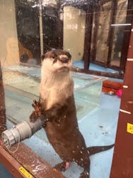 ゼロ距離水族館 伊勢シーパラダイスに投稿された画像(2025/12/9)