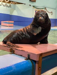 ゼロ距離水族館 伊勢シーパラダイスに投稿された画像(2025/12/9)