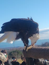 那須どうぶつ王国に投稿された画像(2025/12/9)