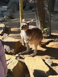 伊豆シャボテン動物公園に投稿された画像(2025/12/9)