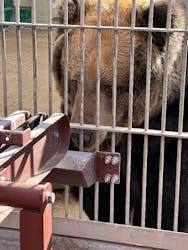 東武動物公園に投稿された画像(2025/12/9)