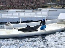 京都水族館に投稿された画像(2025/12/9)