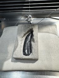 福井県立恐竜博物館に投稿された画像(2025/12/9)