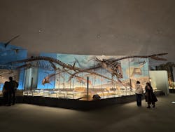 福井県立恐竜博物館に投稿された画像(2025/12/9)