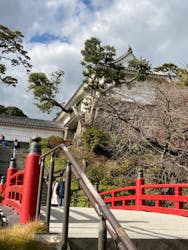 小田原城に投稿された画像(2025/12/9)