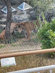 名古屋市東山動植物園に投稿された画像(2025/12/9)