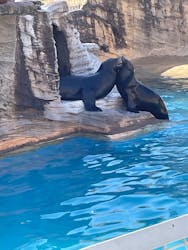 名古屋市東山動植物園に投稿された画像(2025/12/9)