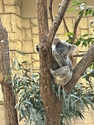 名古屋市東山動植物園に投稿された画像(2025/12/9)