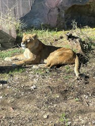 名古屋市東山動植物園に投稿された画像(2025/12/9)