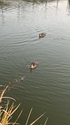 万博記念公園に投稿された画像(2025/12/9)