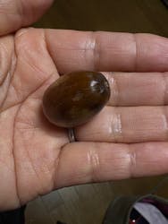 万博記念公園に投稿された画像(2025/12/9)