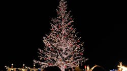 Christmas Market in 横浜赤レンガ倉庫 2025に投稿された画像(2025/12/9)