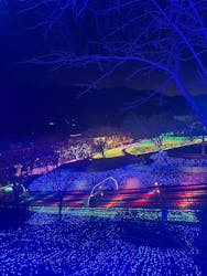 さがみ湖MORI MORIに投稿された画像(2025/12/9)