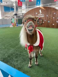 ノーザンホースパークに投稿された画像(2025/12/10)