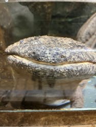 名古屋市東山動植物園に投稿された画像(2025/12/10)