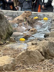 伊豆シャボテン動物公園に投稿された画像(2025/12/10)